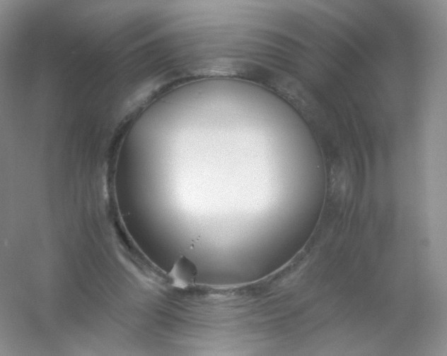 X0000054450302200508121918