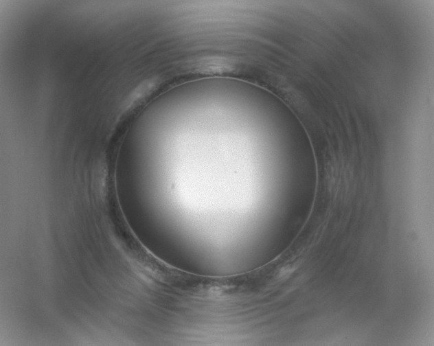 X0000054450304200508121918