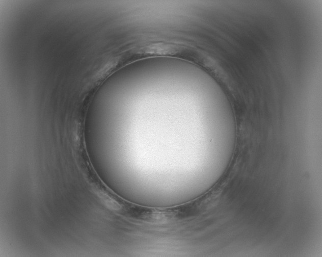X0000054450305200508121918