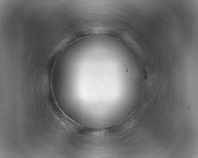 X0000054450306200508121918