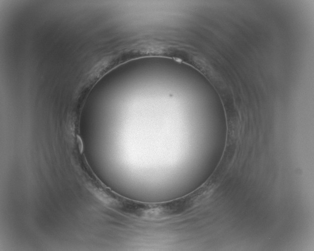X0000054450309200508121918