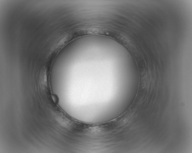 X0000054450310200508121918