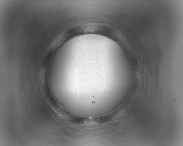 X0000054450311200508121918