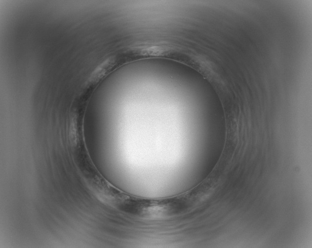 X0000054450312200508121918