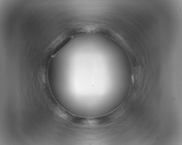 X0000054450313200508121918