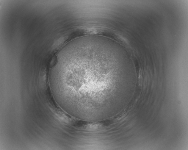 X0000054450314200508121918