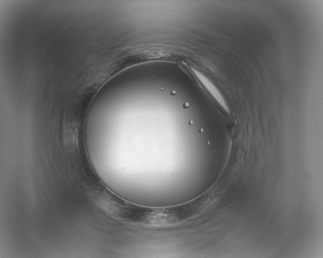 X0000054450315200508121918