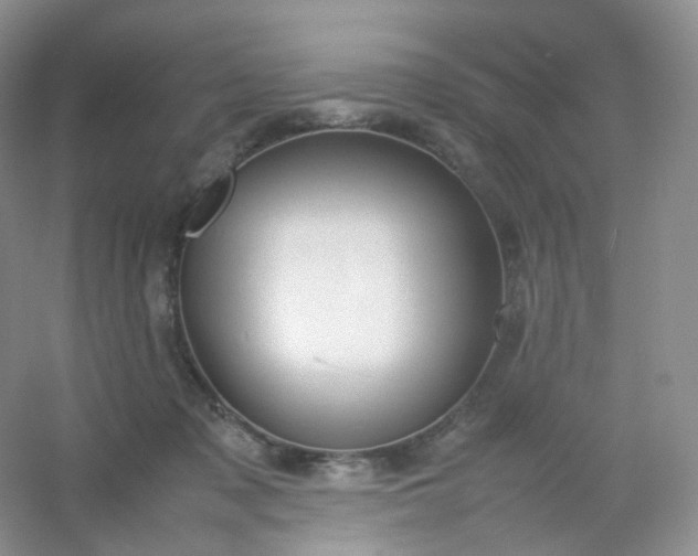 X0000054450317200508121918