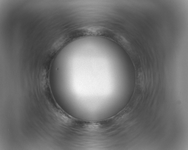 X0000054450318200508121918