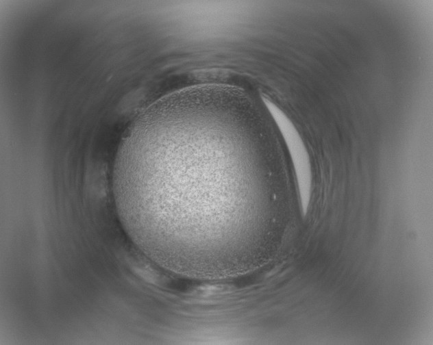 X0000054450323200508121917