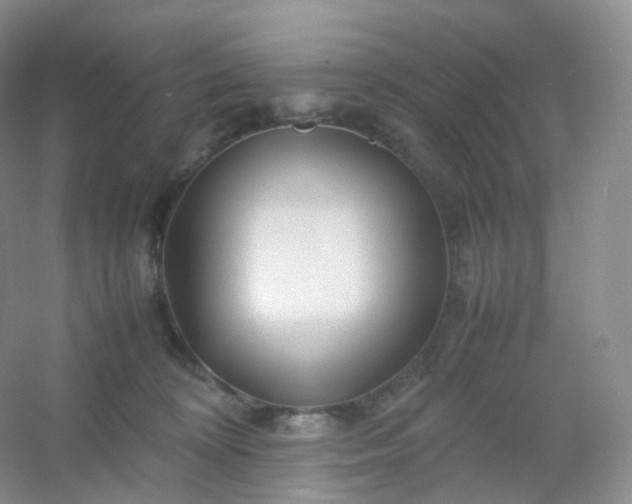 X0000054450324200508121917