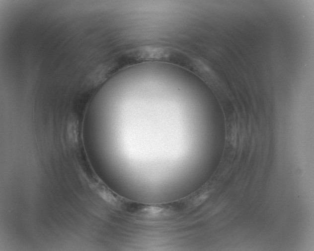 X0000054450326200508121917