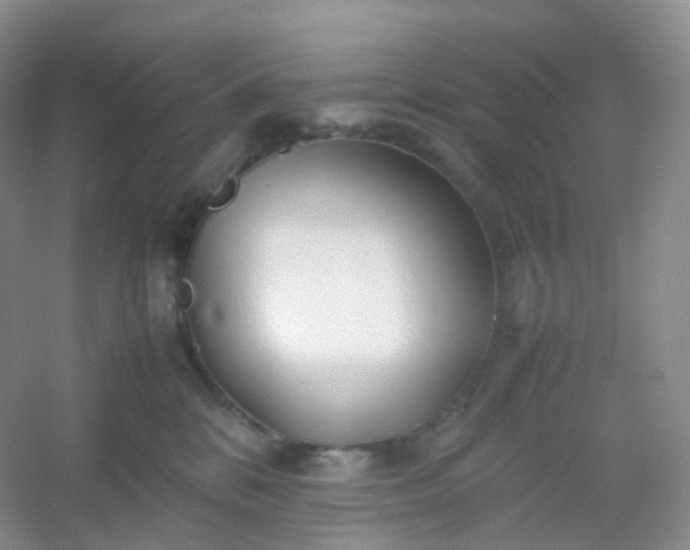X0000054450328200508121917