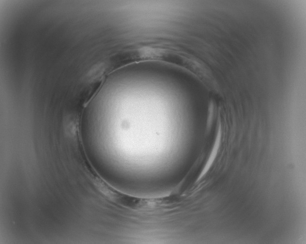 X0000054450329200508121917