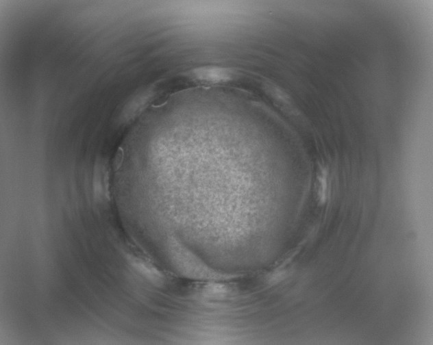 X0000054450330200508121917
