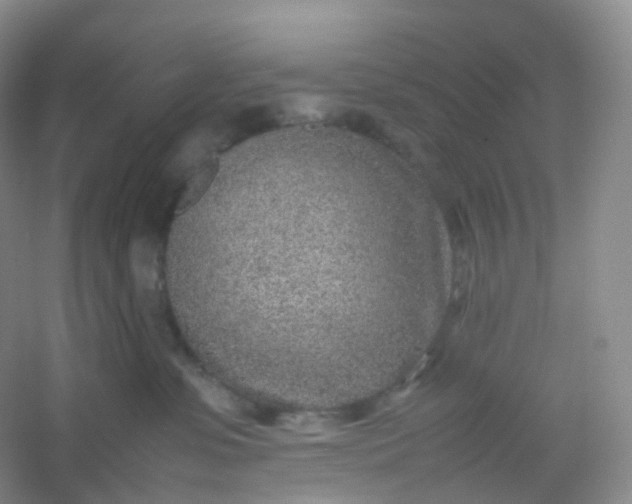 X0000054450331200508121917