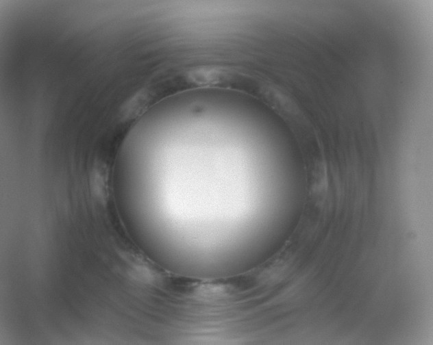 X0000054450332200508121917