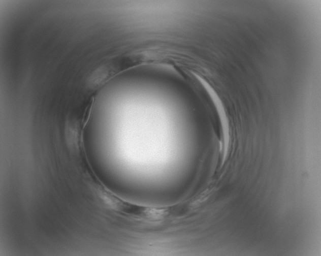 X0000054450333200508121917