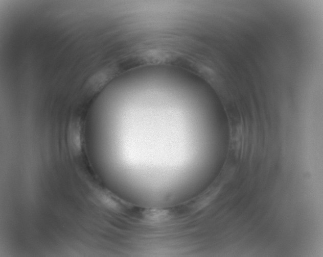 X0000054450334200508121917