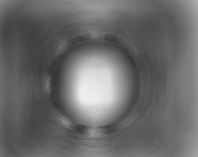X0000054450336200508121917