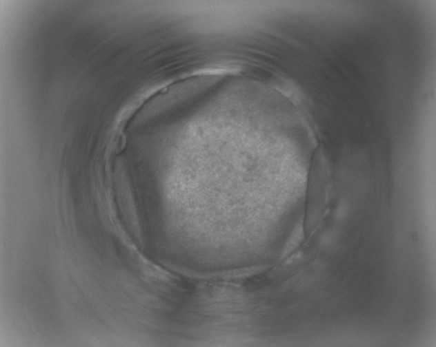 X0000054450337200508121916