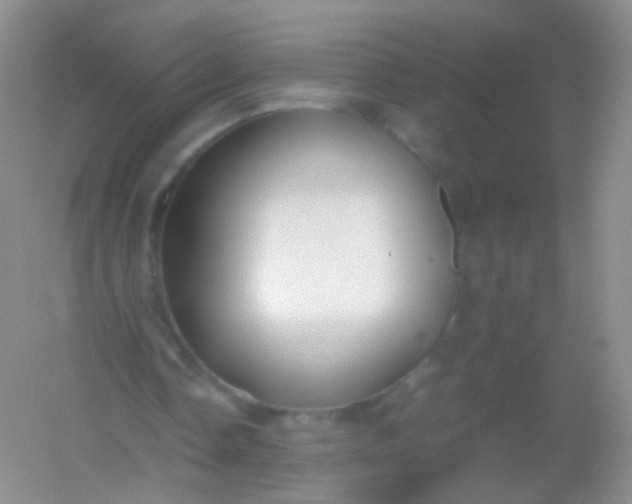 X0000054450338200508121916