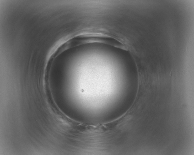 X0000054450340200508121916