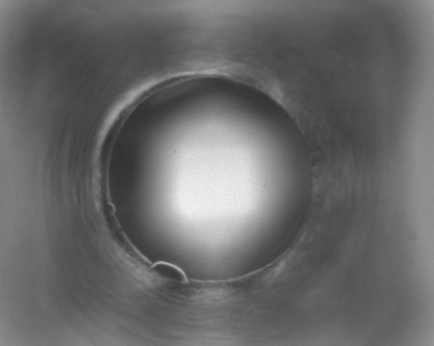 X0000054450342200508121917
