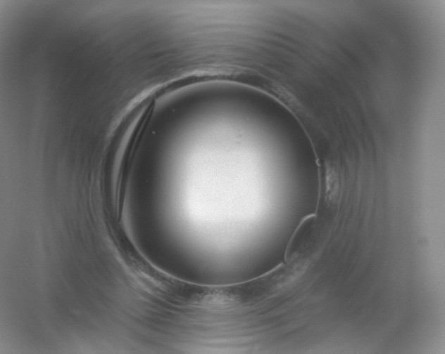 X0000054450348200508121917