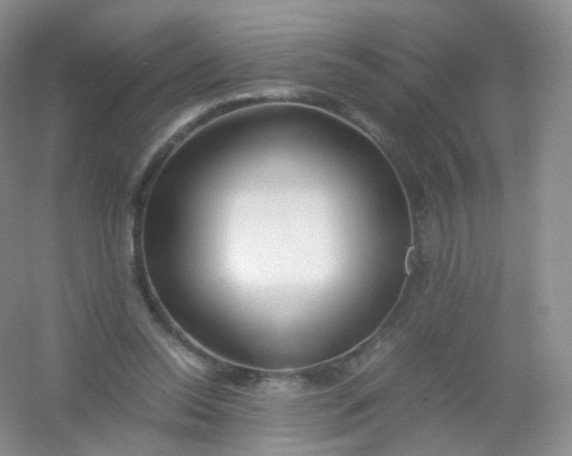 X0000054450350200508121917
