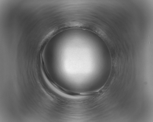 X0000054450352200508121917