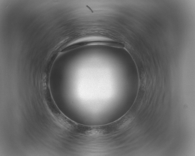 X0000054450356200508121917