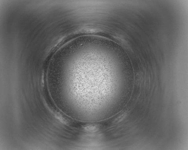 X0000054450358200508121917