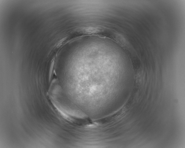 X0000054450360200508121917