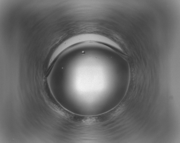 X0000054450362200508121917