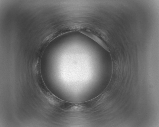 X0000054450364200508121917