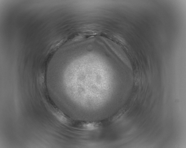 X0000054450365200508121917