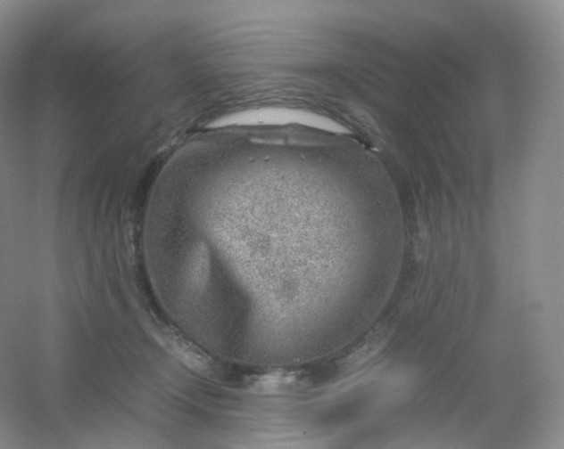 X0000054450366200508121917