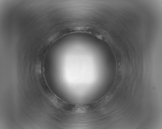 X0000054450368200508121917