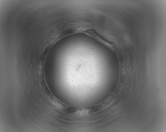 X0000054450369200508121917