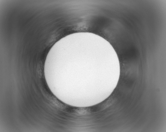 X0000054450370200508121917