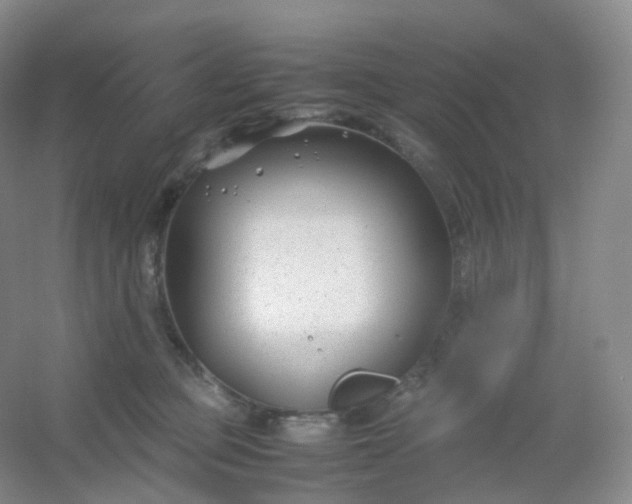 X0000054450373200508121917