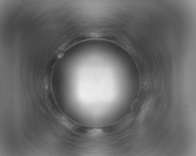 X0000054450374200508121917