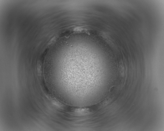 X0000054450375200508121917