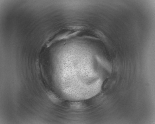 X0000054450377200508121917