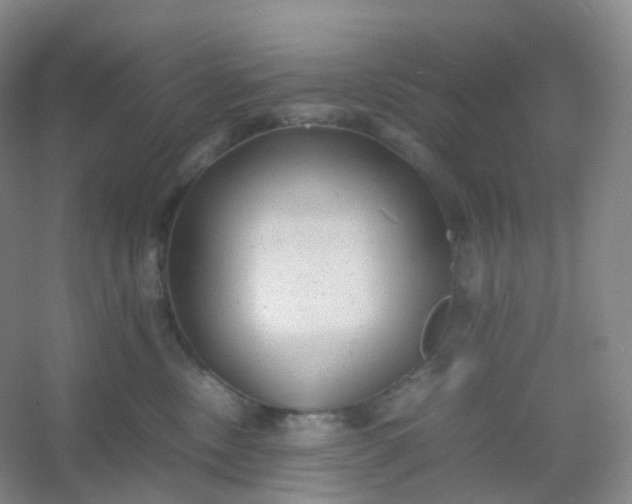 X0000054450378200508121917