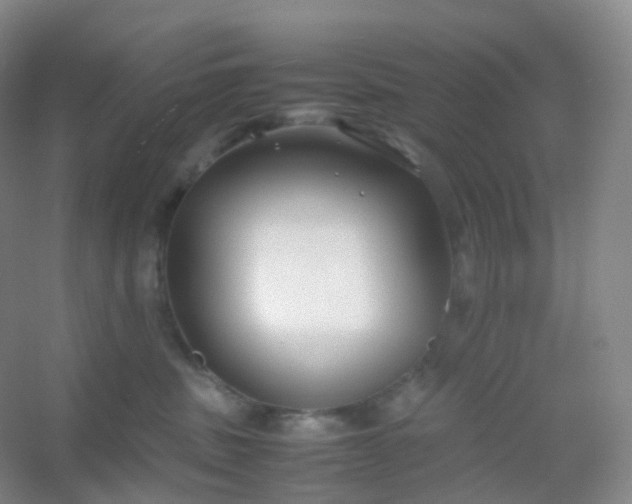 X0000054450379200508121917