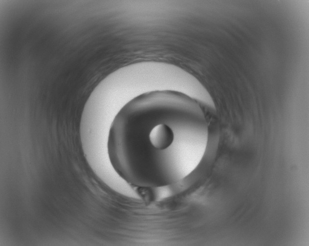 X0000054450380200508121917