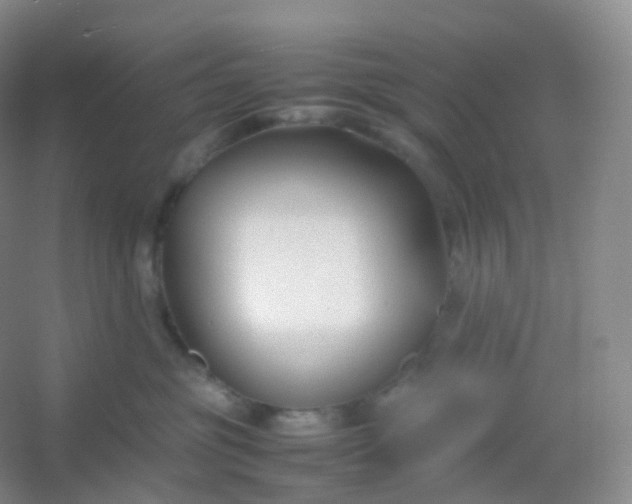 X0000054450381200508121917