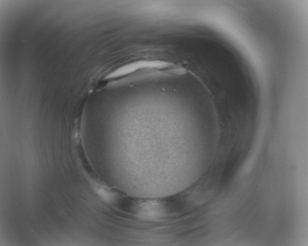 X0000054450383200508121917